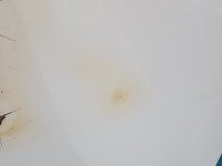 Maska przednia Dacia Sandero III 20- biały, DV369