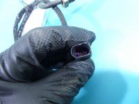 Czujnik temperatury spalin Seat Leon III 12- 1.6 tdi 04L906088BD