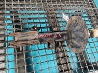 Amortyzator przód lewy przedni Infiniti FX I Amortyzator przód lewy przedni Infiniti FX I