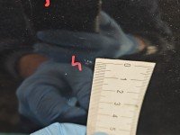 DRZWI PRZÓD PRAWE PASAŻERA Skoda Roomster 5d czarny LF9R