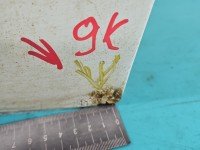 DRZWI PRZÓD PRAWE PASAŻERA Mercedes Sprinter II 906 5d biały