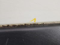 Drzwi tył lewe Renault Kangoo I HB 5d