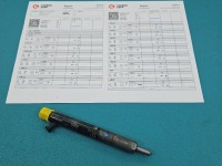 Wtryskiwacz Renault Clio II 1.5 dci