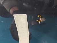 DRZWI PRZÓD PRAWE PASAŻERA Kia Sportage III 10-15 5d 1k