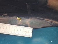 Drzwi tył lewe Jeep Grand Cherokee IV WK2 HB 5d PGZ - BLACK FOREST GREEN PEARL COAT