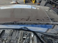 Dach LEXUS NX I 14-21 HB 217 5d