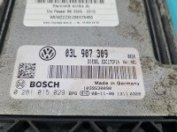 Komputer Sterownik silnika 0281015029, 03L907309 Vw Passat B6 2.0 tdi