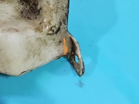 Zbiornik Zbiorniczek płynu spryskiwacza Audi A4 B6