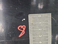 DRZWI PRZÓD PRAWE PASAŻERA Renault Trafic II 5d czarny