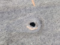 Osłona Hyundai, podwozia lewa i20 III 2020- 1.2 16V (G4LF)