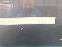 Drzwi tył prawe Seat Ibiza IV 6J HB 5d grafitowy