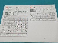 TESTOWANY Wtryskiwacz komplet Peugeot 307 0445110076, 9641742380 2.0 hdi