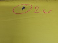 Drzwi tył lewe Renault Master III 10-24 HB 5d Brak