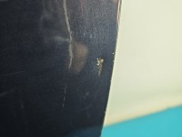 DRZWI PRZÓD LEWE KIEROWCY Fiat 500 07-20 3d 415/B