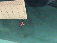 DRZWI PRZÓD PRAWE PASAŻERA BMW X5 E53 5d czarny 475/9