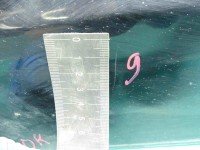 DRZWI PRZÓD LEWE KIEROWCY Suzuki XL-7 II 06-09 5d czarny 1SC