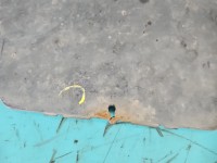 Zderzak przód przedni Opel Meriva B Z190