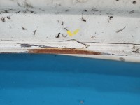 Maska przednia Vw LT II biały