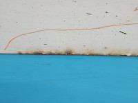 DRZWI PRZÓD PRAWE PASAŻERA Vw Crafter 06- 4d