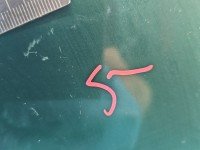 DRZWI PRZÓD PRAWE PASAŻERA Renault Megane I 5d zielony NV926