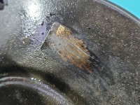 Serwo hamulcowe Fiat Scudo II 06- 1400520580, 037874-35014 2.0 jtd