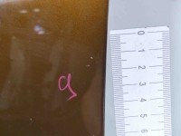 DRZWI PRZÓD LEWE KIEROWCY Audi A5 8T 5d ceglasty