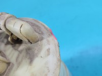 pompka Pompa paliwa Land rover Freelander I 1.8 16v Lekkie uszczerbana obudowa, Brak numeru 4 PIN