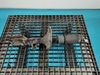 Amortyzator przód lewy przedni Kia Sportage II 04-10