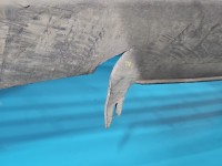 Zderzak przód Renault Master II biały