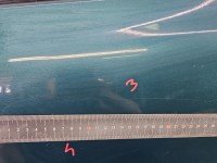 DRZWI PRZÓD PRAWE PASAŻERA Toyota Rav4 I 94- 5d zielony 6N5