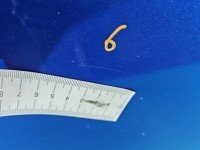 DRZWI PRZÓD LEWE KIEROWCY Suzuki Swift Mk6 5d niebieski ZCG