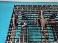 Amortyzator przód prawy przedni Toyota Rav4 III 05-