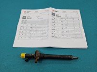 TESTOWANY Wtryskiwacz Citroen C5 II X7 9688438580 2.0 hdi