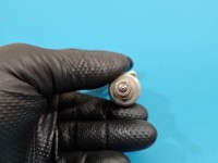 Wtryskiwacz listwa wtryskowa 55577403 Opel Astra V K 1.4 T 125KM