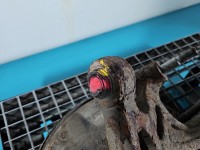 Piasta koła tył prawa zwrotnica łożysko Kia Carnival II 05-14 2.9 crdi