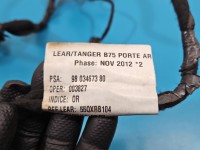 Instalacja Wiązka drzwi tył prawych Citroen DS4 11-15 9803467380, 9642931880