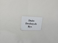 DRZWI PRZÓD LEWE KIEROWCY Renault Scenic I 5d granatowy TEF43