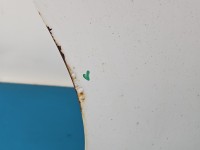 DRZWI PRZÓD LEWE KIEROWCY Opel Movano III 5d D389
