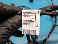 Instalacja Wiązka drzwi przód lewych BMW X6 E71 9242070, 9203113