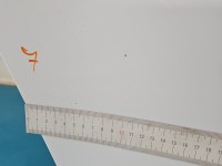 Drzwi tył prawe Ford S-max II MK2 HB 5d biały 5F