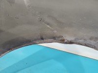 Błotnik przód lewy Seat Altea czarny LC9Z