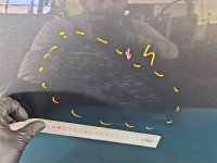 Drzwi tył lewe Citroen C4 II HB 5d szary ktp