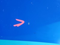 Maska przednia Skoda Octavia I niebieski