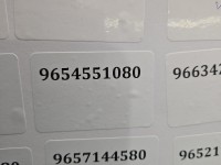 Wtryskiwacz Ford Fiesta Mk6 9654551080 1.4 tdci