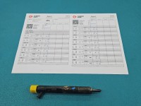 Wtryskiwacz Nissan Micra K12 1.5 dci