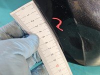 Błotnik przód prawy Skoda Roomster czarny LF9R