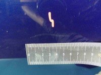 DRZWI PRZÓD PRAWE PASAŻERA Vw Golf VI 5d granatowy LD5R