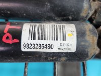 Amortyzator tył komplet tylny lewy prawy Peugeot 5008 II 17-24 L+P