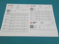 TESTOWANY Wtryskiwacz 0445110243 Opel Vectra C 1.9 cdti 150KM
