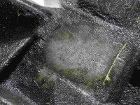 Skrzynia biegów Seat Cordoba I 1.6 wiel